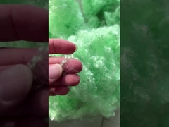 สายใยสีเขียว