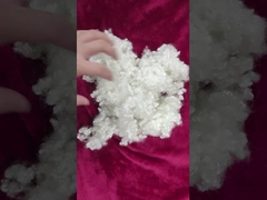 เส้นใยโพลีเอสเตอร์หลัก